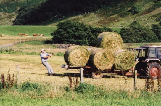 August 01, Hamish with Arable silage bales