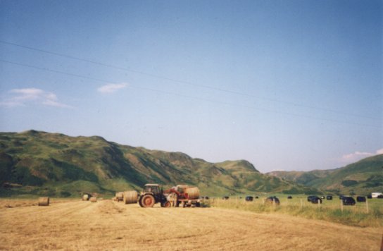 August 02, Lifting the bales