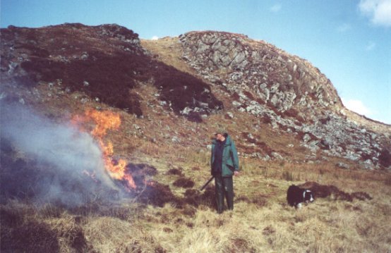Mar 01, Iain and Paddy burning heather